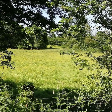 Gite Le Moulin Saint-Vaast-sur-Seulles 외부 사진
