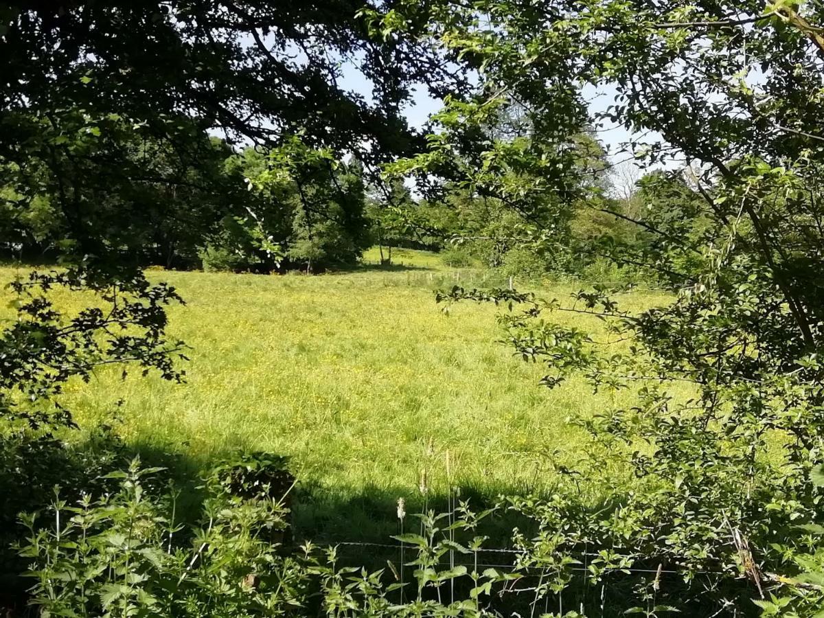 Gite Le Moulin Saint-Vaast-sur-Seulles 외부 사진